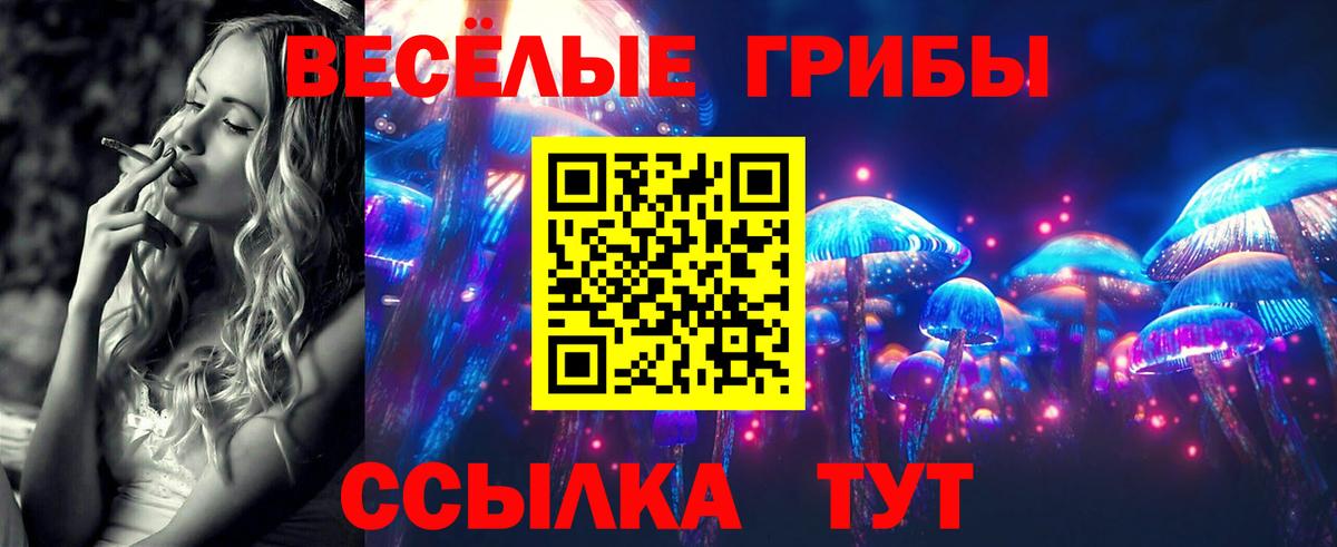 Галлюциногенные грибы мицелий Чита